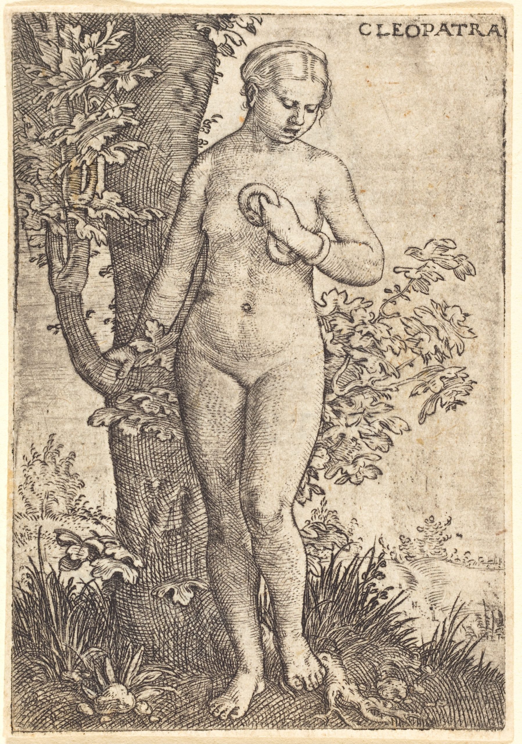 Renaissance engraving of Cleopatra holding a snake beside a tree